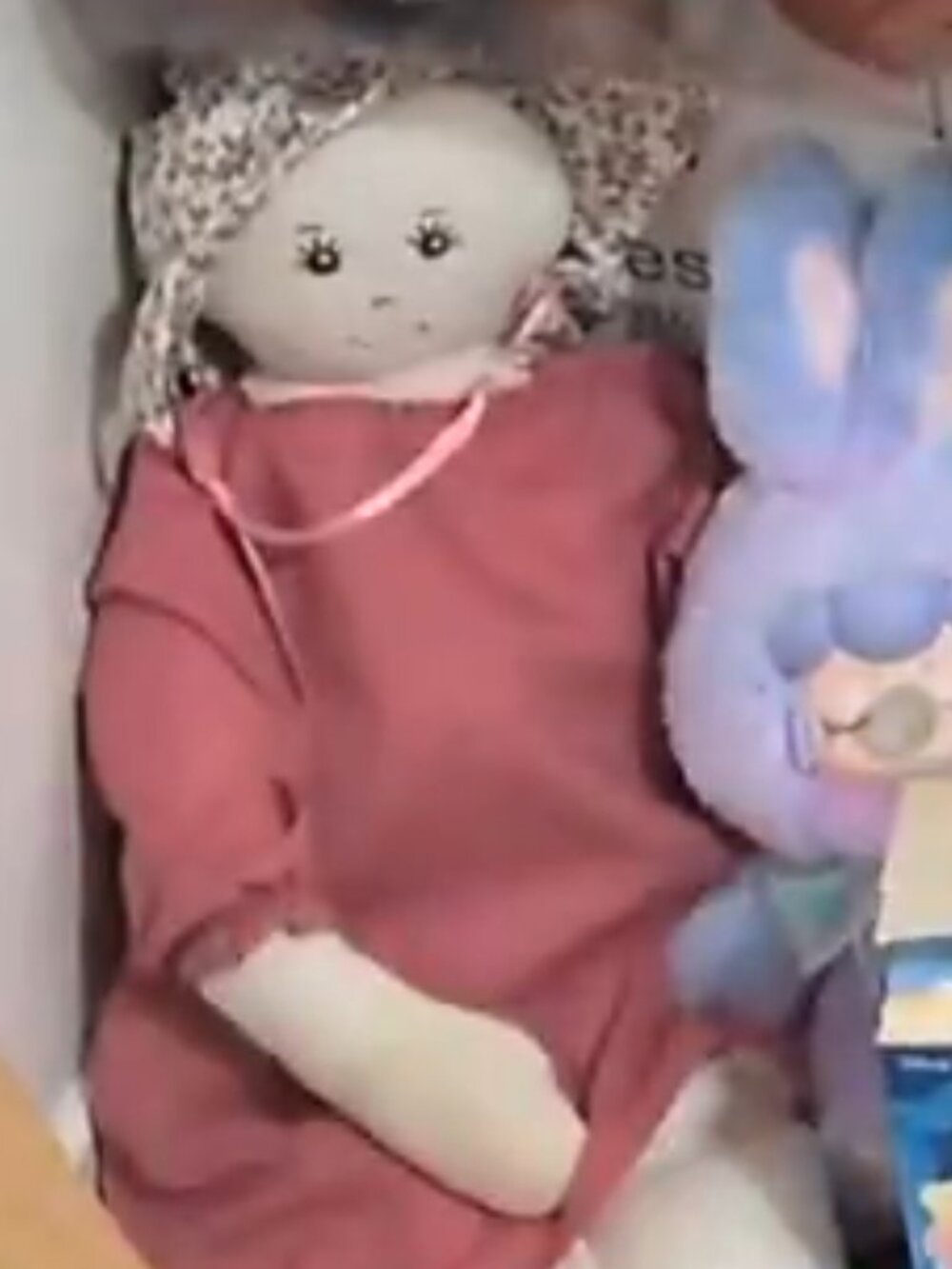 Toy